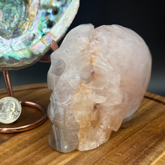 Orca Agate Skull Carving Quartz Pink Clear Neurology Neuro Surgery Office Decor - Picture 1 of 11